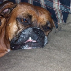 I'm just too tired to fix my lip.