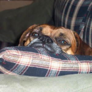 Yes, I know exactly how precious I am.