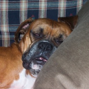 Zzzzzz