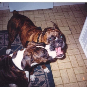 our boys