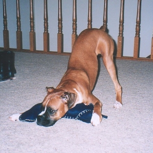 This is MY Christmas stocking!