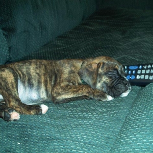 A mans two BEST FRIENDS