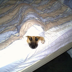 My favorite place is under the blanky