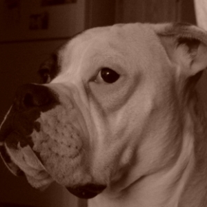 Left Face Profile