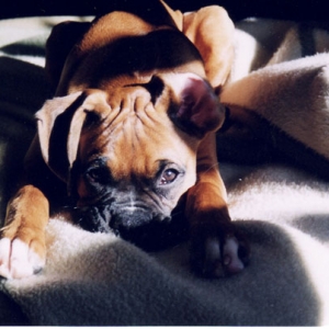 Mateus_in_the_rays