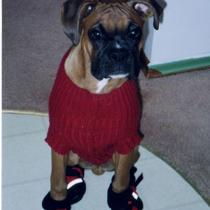 Mateus_red_sweater