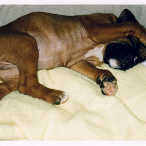 Mateus_sleeping_1