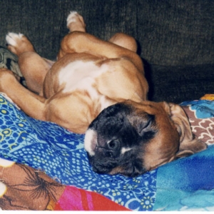 Mateus_sleeping_2
