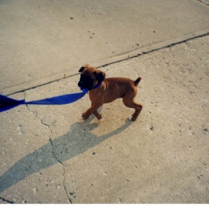 Mateus_walking
