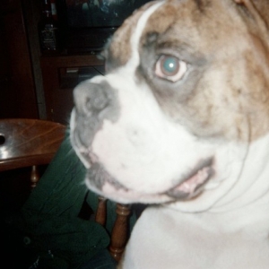Tyson up close and personal