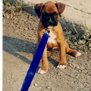 Mateus_first_walk