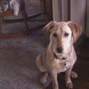 HI IM SUZY