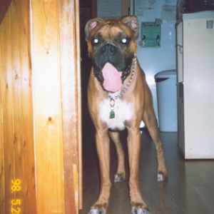 you're home!!!