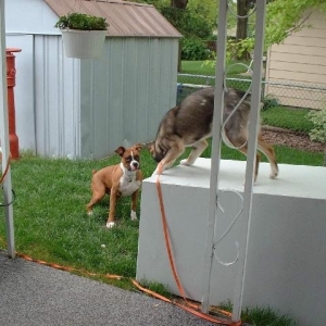 Come down here and say that