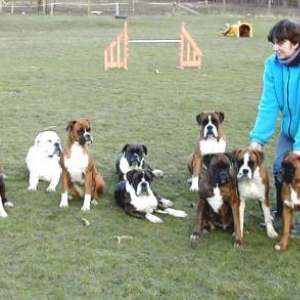 The pack & the better half