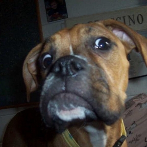 You lookin' at me???