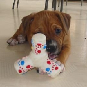 MINE!
