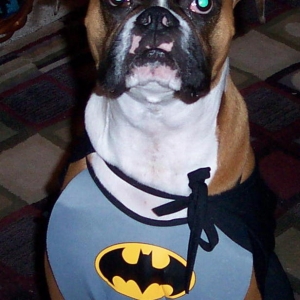 Mason @ Halloween