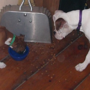 Mia and Rocko