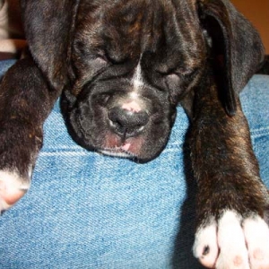 Snoozing on Mommy