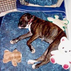 So many toys, so little time.