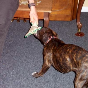 Playing with Dad