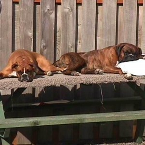 Oh, how we love that sunshine