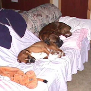 Time for a snooze