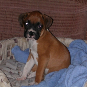 Mia at 2months