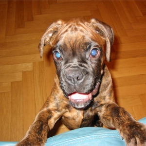 hello everyone!