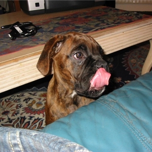 mmmm give me some!