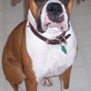 Layla 15 months