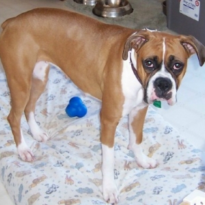 Layla 15 months