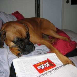 Oh, the tough life... :)