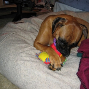I like this one mommy!