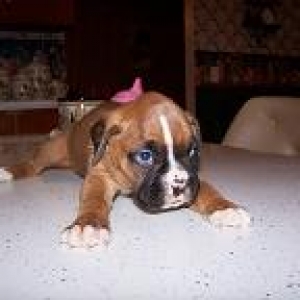 Her first pic....