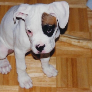 tally at about 3 months old
