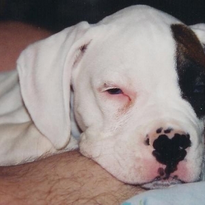 tally at naptime