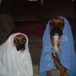 Drying Off