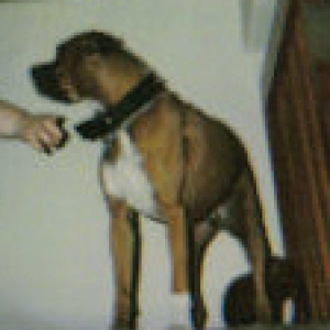 My baby, Rocky Balboa
