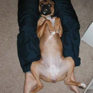 Do Not Disturb!