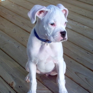 13weeks5