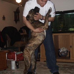 Dancing with Dad?