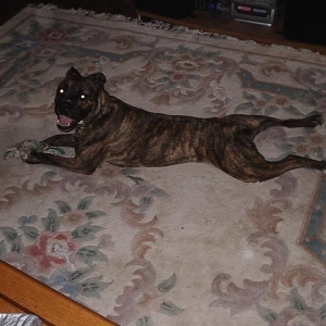 Mine