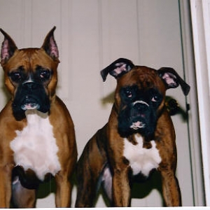 Kali and Gia