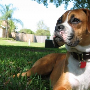Jake at 6 months