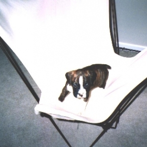 in butterfly chair