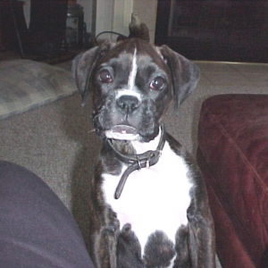 Everyone thinks I am cute, and they are right!