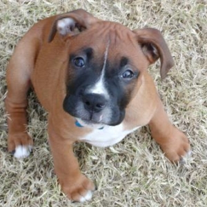 Who couldn't love that face?