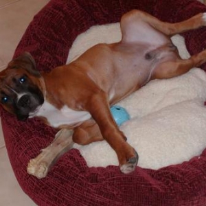 Belly up!